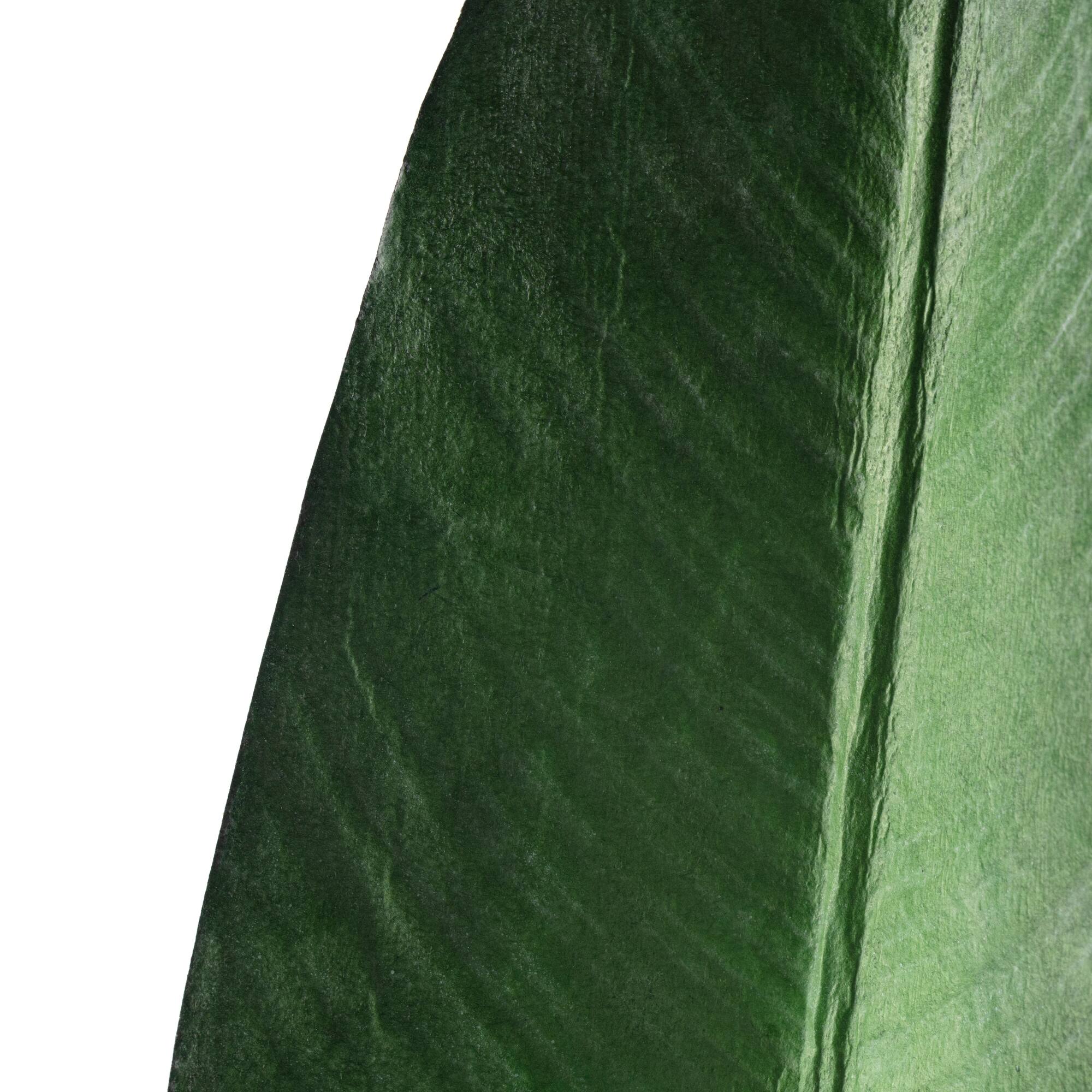 Tropical Bird Of Paradise Leaf Spray by Ashland®